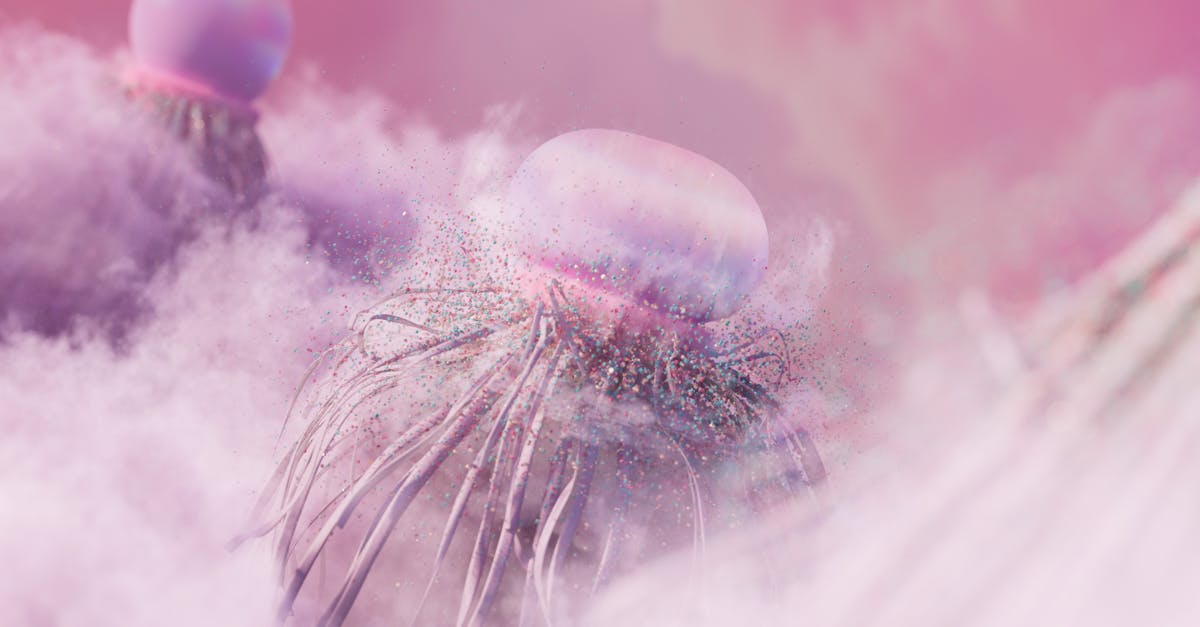 découvrez l'art généré par l'intelligence artificielle : une fusion fascinante de créativité et de technologie. explorez des œuvres uniques, des techniques innovantes et les tendances émergentes dans le monde de l'ai art.