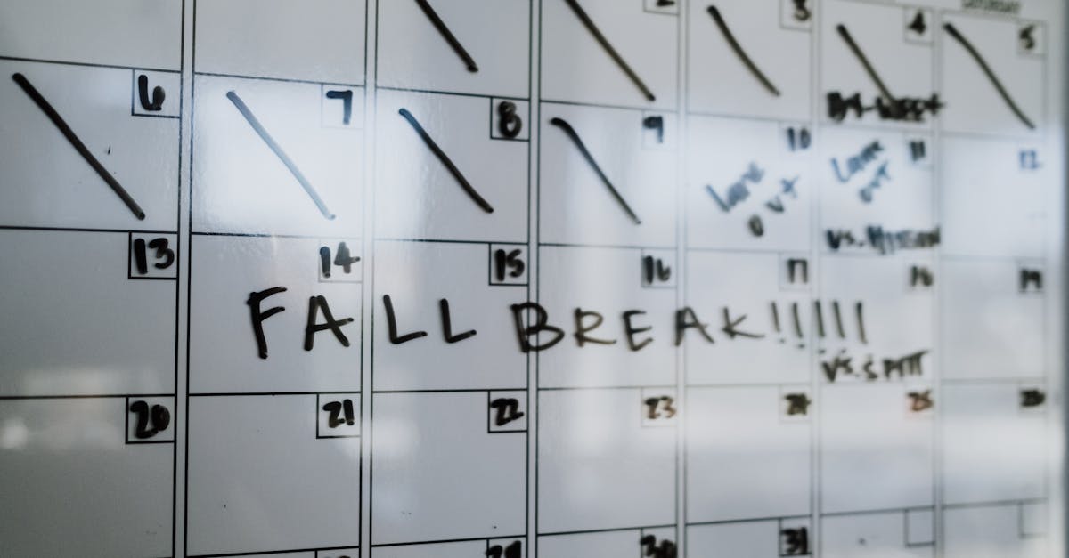 découvrez notre calendrier scolaire complet, incluant les dates de rentrée, les vacances et les jours fériés. restez organisé tout au long de l'année académique et planifiez vos activités en fonction des jours d'école.