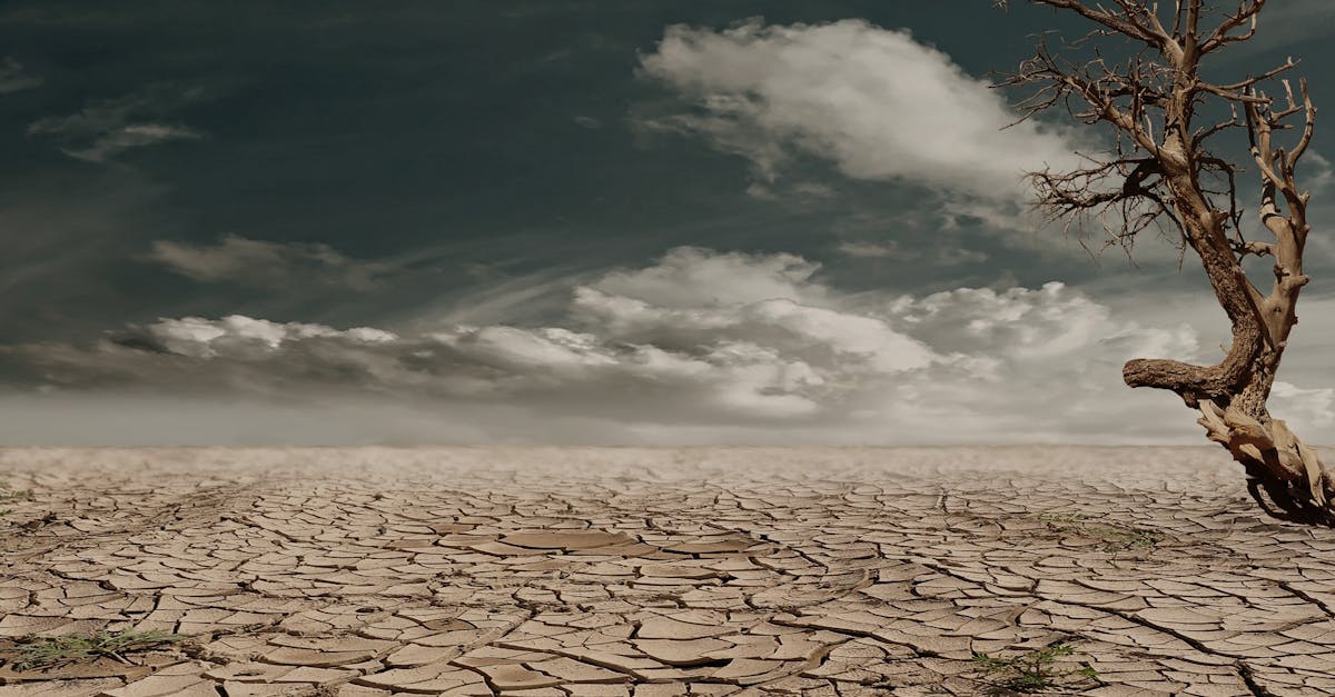 découvrez les dernières tendances et évolutions liées aux changements, qu'ils soient personnels, professionnels ou sociétaux. informez-vous sur l'impact des transformations dans notre quotidien et adaptez-vous à un monde en constante évolution.