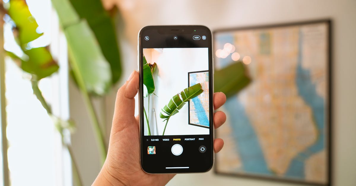 découvrez les meilleures applications de retouche photo pour sublimer vos images. que vous soyez amateur ou professionnel, ces outils vous permettront d'ajuster la luminosité, d'appliquer des filtres, et d'ajouter des effets créatifs facilement. transformez vos photos en œuvres d'art avec ces applications intuitives et performantes.