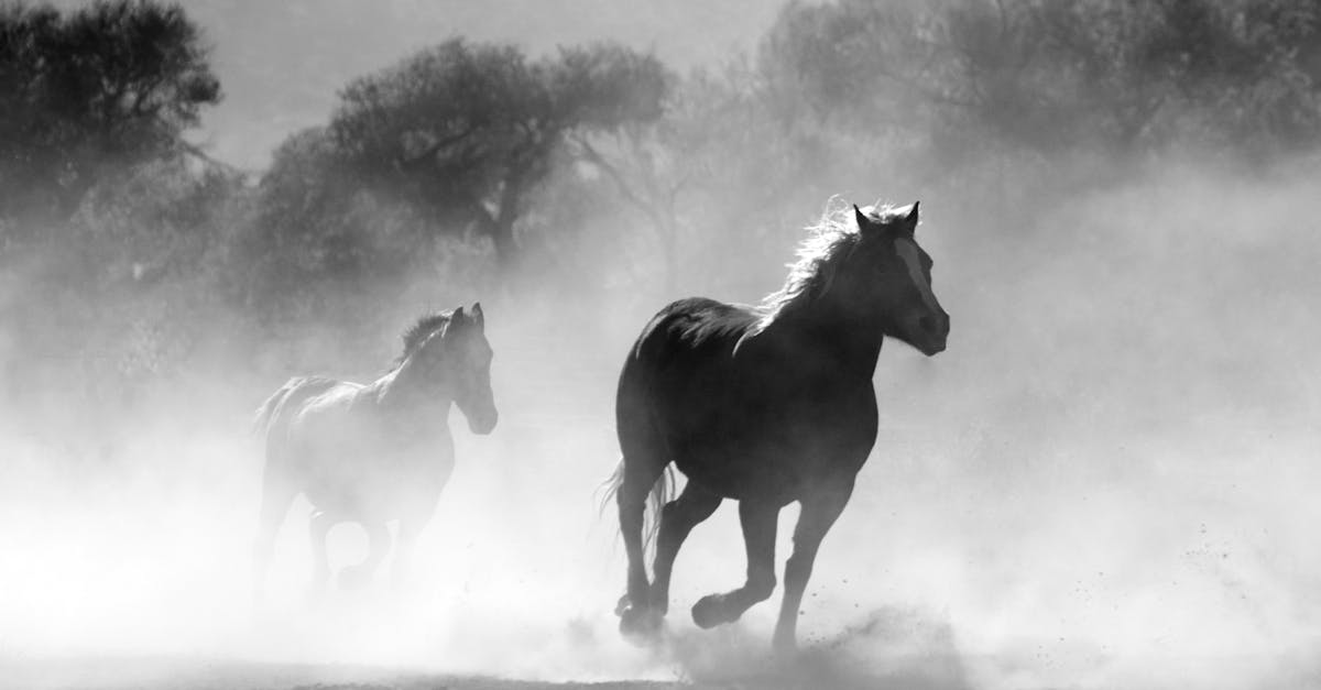 découvrez le monde fascinant de l'animation, un art dynamique qui donne vie aux idées à travers des techniques variées, allant du dessin traditionnel aux animations 3d modernes. explorez notre contenu enrichissant pour tout savoir sur les différentes formes d'animation et leur impact sur la culture et le divertissement.