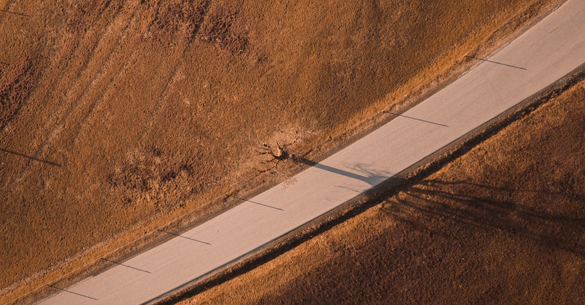 découvrez l'univers fascinant des pixels, éléments essentiels de la technologie numérique. apprenez comment ils composent les images, influencent le design et façonnent notre expérience visuelle au quotidien.