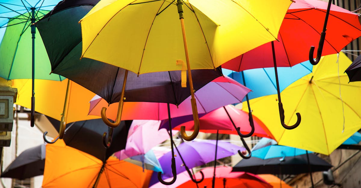 découvrez l'importance de la protection dans notre vie quotidienne. des conseils pratiques pour assurer votre sécurité personnelle, celle de vos proches et de vos biens. apprenez comment vous préparer face aux dangers et garantir votre tranquillité d'esprit.