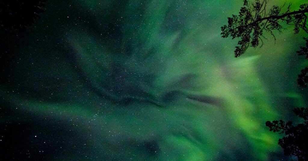 découvrez bereal, l'application qui vous encourage à partager des moments authentiques de votre vie en temps réel. publiez des photos de votre quotidien sans filtre et connectez-vous avec vos amis de manière sincère et spontanée.