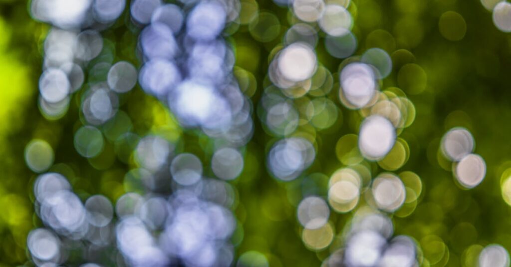 découvrez les stratégies de monétisation efficaces pour transformer vos idées en revenus. apprenez à tirer parti des plateformes numériques, à structurer vos offres et à maximiser vos profits grâce à des méthodes éprouvées.