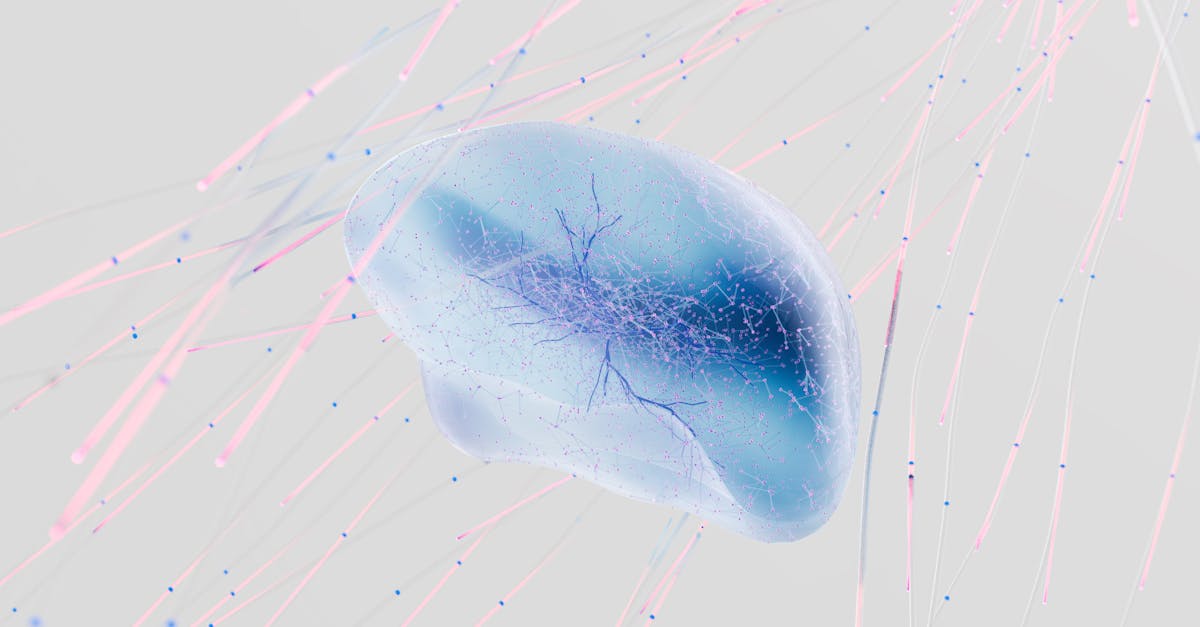 découvrez perplexity ai, une plateforme innovante qui combine intelligence artificielle et recherche pour offrir des réponses précises et instantanées à vos questions. explorez un monde de connaissances à portée de main, où l'ia facilite votre accès à l'information.
