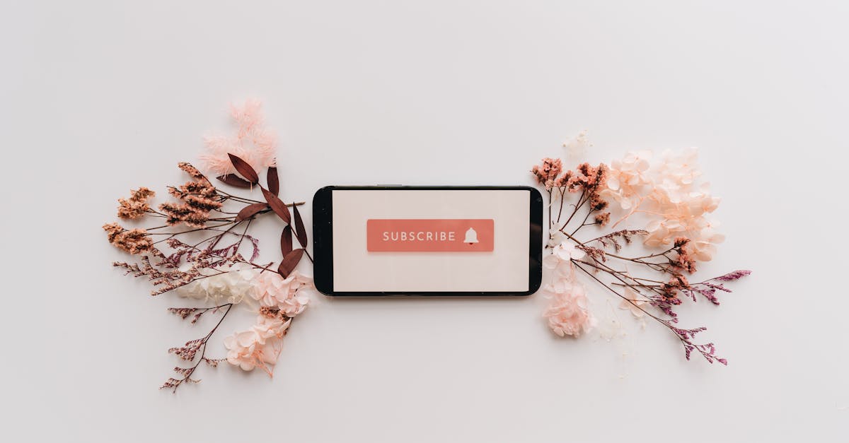 découvrez notre service d'abonnement qui vous permet d'accéder à un contenu exclusif, des offres spéciales et bien plus encore. profitez d'une expérience personnalisée et restez à jour avec nos dernières nouveautés.