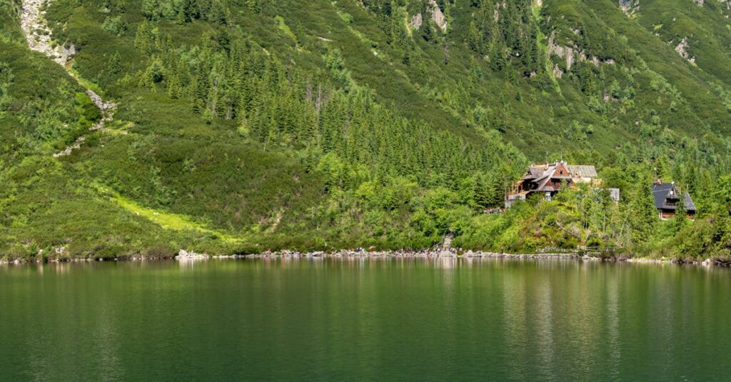 découvrez notre sélection de fonds d'écran d'été vibrants et rafraîchissants. transformez l'apparence de votre appareil avec des images lumineuses et ensoleillées qui évoquent la chaleur et la beauté de la saison estivale.