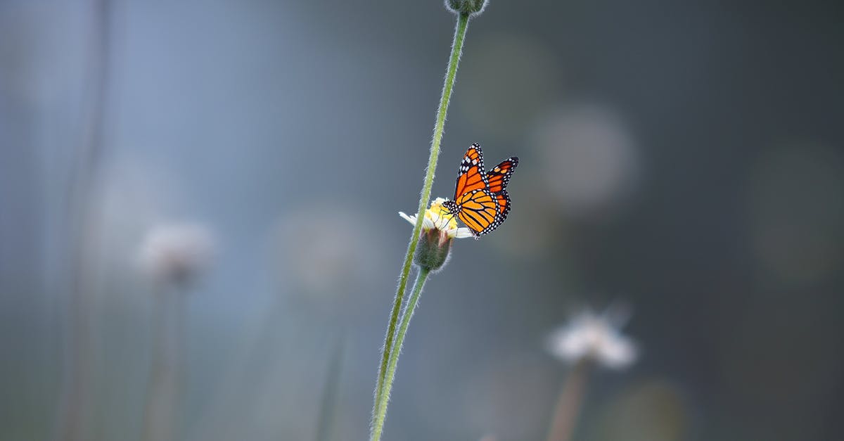 découvrez comment la transformation peut transformer votre vie, votre entreprise et vos perspectives. explorez les stratégies, les outils et les exemples inspirants qui vous guideront vers un changement positif et durable. rejoignez-nous dans ce voyage de transformation!