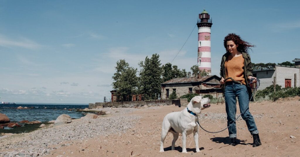 découvrez lighthouse, un outil essentiel de google pour analyser et améliorer les performances, l'accessibilité et le référencement de votre site web. obtenez des rapports détaillés et optimisez votre expérience utilisateur !