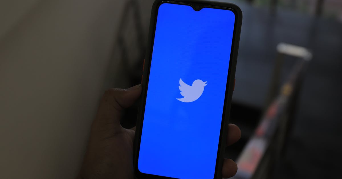 découvrez les dernières tendances des réseaux sociaux : nouveautés, stratégies efficaces et astuces pour optimiser votre présence en ligne et engager votre communauté.