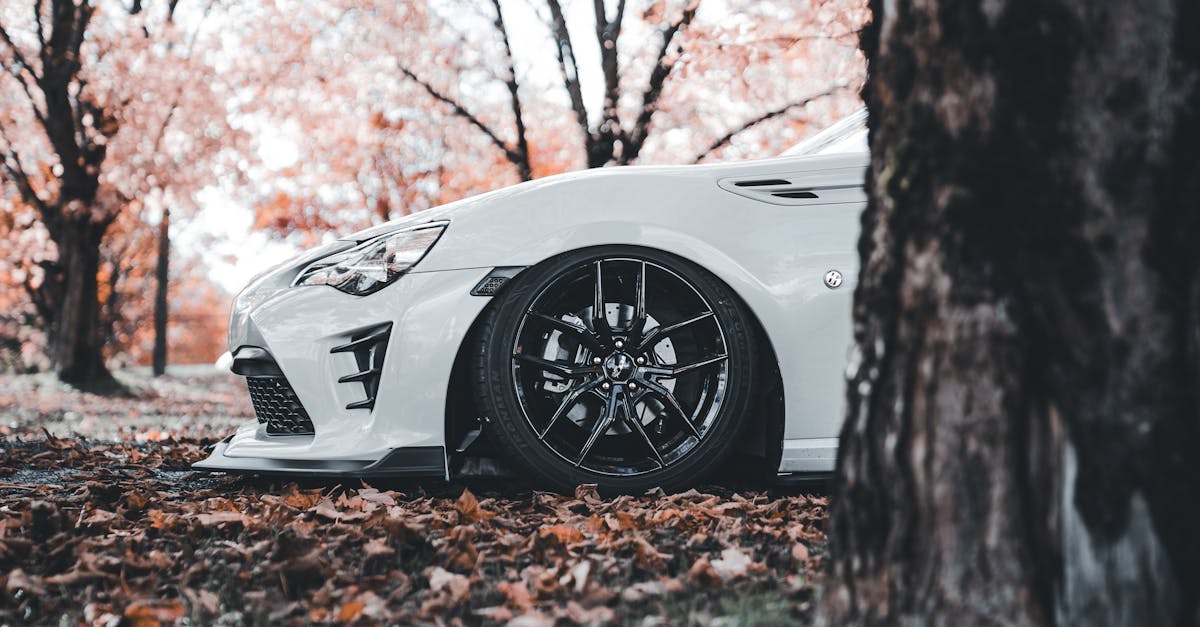 découvrez tout ce qu'il faut savoir sur le statut d’auto-entrepreneur : démarches, avantages, obligations fiscales et conseils pratiques pour lancer et gérer votre activité en toute simplicité.