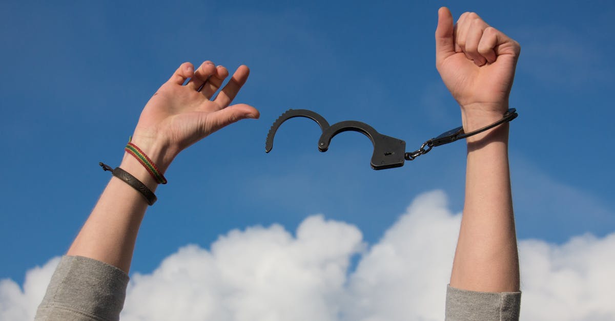 découvrez les meilleures solutions de stockage cloud gratuit pour sauvegarder et partager vos fichiers en toute sécurité. comparez les offres et choisissez l’espace de stockage qui vous convient !