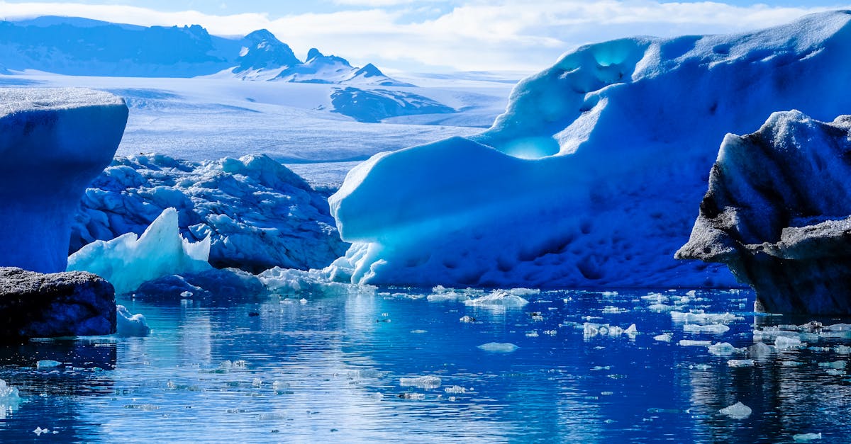 découvrez tout sur les icebergs : leur formation, leurs caractéristiques impressionnantes et leur impact sur les océans et le climat mondial.