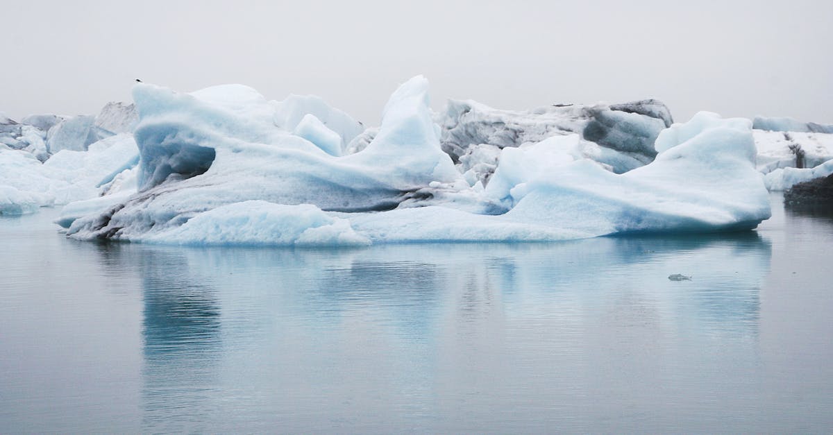 découvrez tout sur les icebergs : formation, caractéristiques, dangers et curiosités. plongez dans l’univers glacé de ces géants flottants des régions polaires.