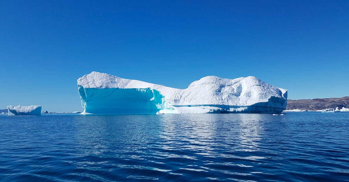 découvrez tout sur les icebergs : leur formation, leur rôle dans l'écosystème marin et leurs mystères fascinants. plongez dans le monde captivant de ces géants de glace.