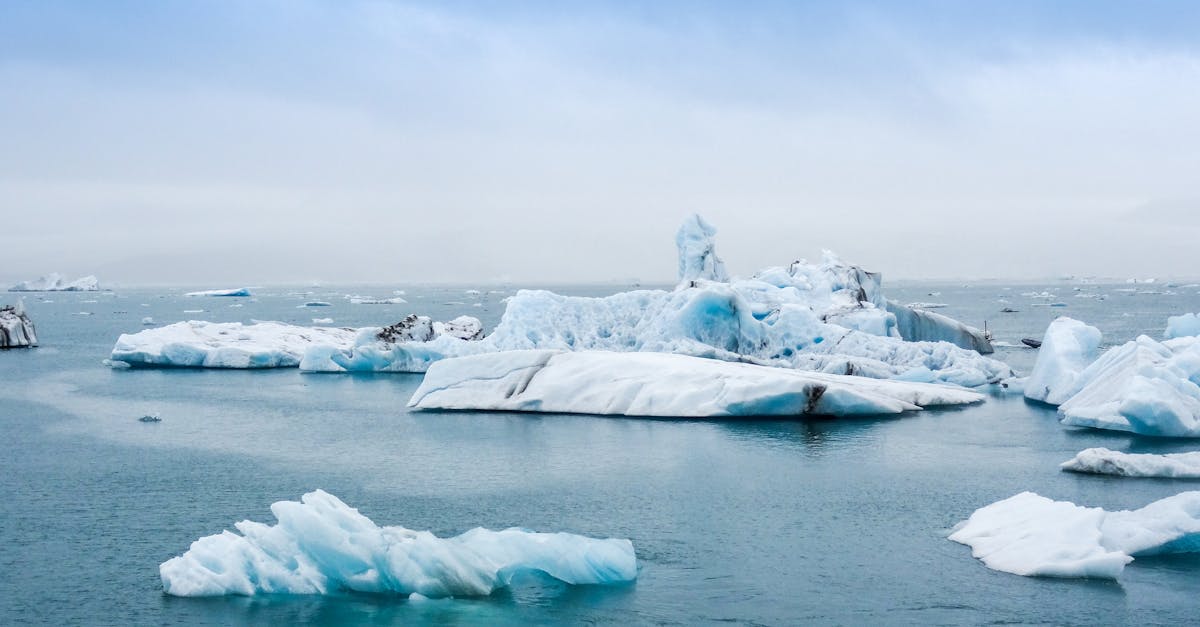 découvrez tout sur les icebergs : leur formation, leur déplacement, leur impact sur l’environnement et les mystères fascinants qu’ils renferment dans les océans du monde.