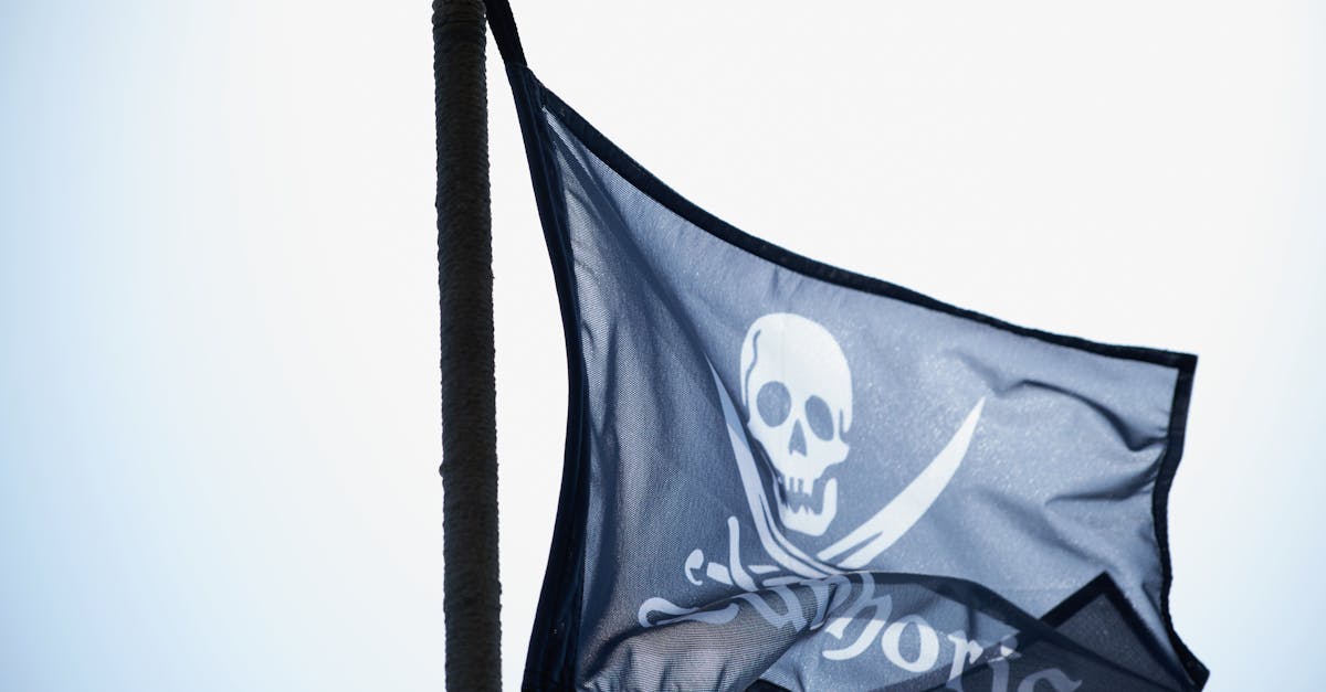 découvrez les enjeux de la piraterie : son histoire, ses formes actuelles, ses impacts économiques et les moyens de lutter contre ce phénomène mondial.