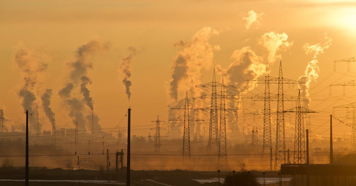 découvrez les causes, les effets et les solutions à la pollution, un enjeu majeur pour l’environnement et la santé. informez-vous pour mieux protéger la planète.