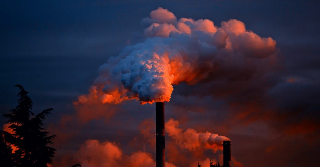 découvrez les causes, conséquences et solutions pour lutter contre la pollution de l'air, de l'eau et des sols. protégez l'environnement et adoptez des gestes éco-responsables au quotidien.
