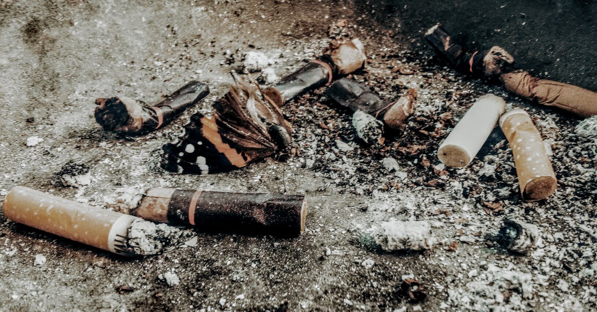 découvrez tout sur la pollution : ses causes, ses conséquences sur l'environnement et la santé, ainsi que des solutions pour lutter contre ce fléau mondial.