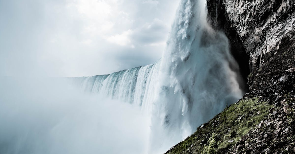 découvrez torrent9, le site de référence pour télécharger gratuitement films, séries, jeux et musiques en torrent. accédez à une vaste sélection, des nouveautés aux grands classiques, en toute simplicité.