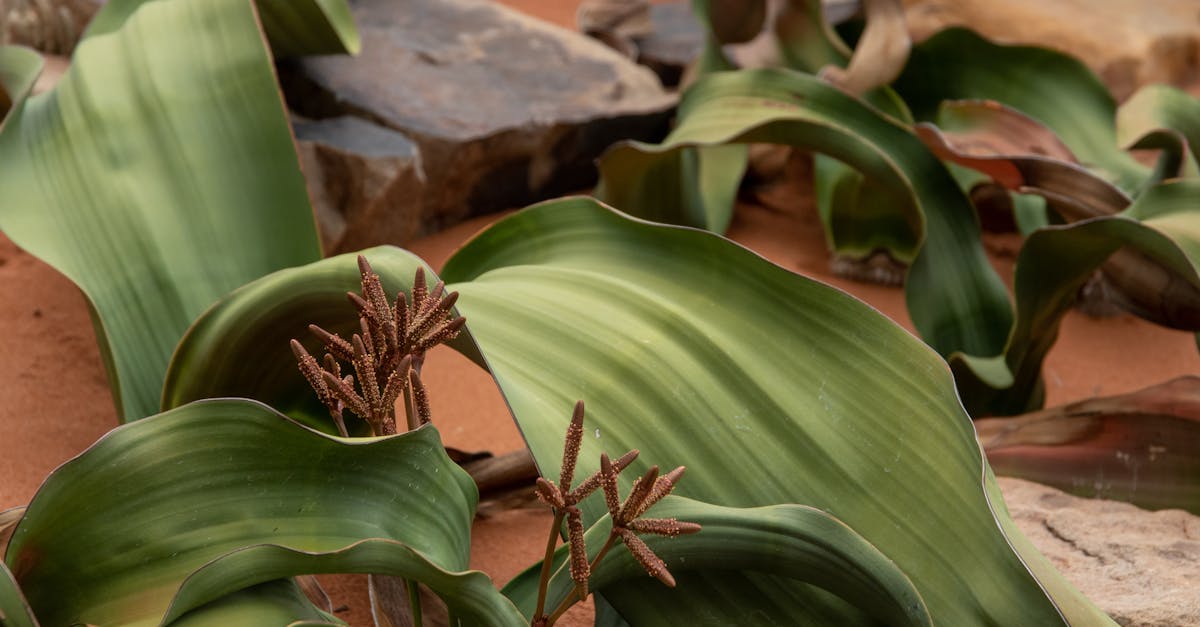 découvrez arthur mensch, un expert passionné reconnu pour ses compétences et son engagement exceptionnel dans son domaine.