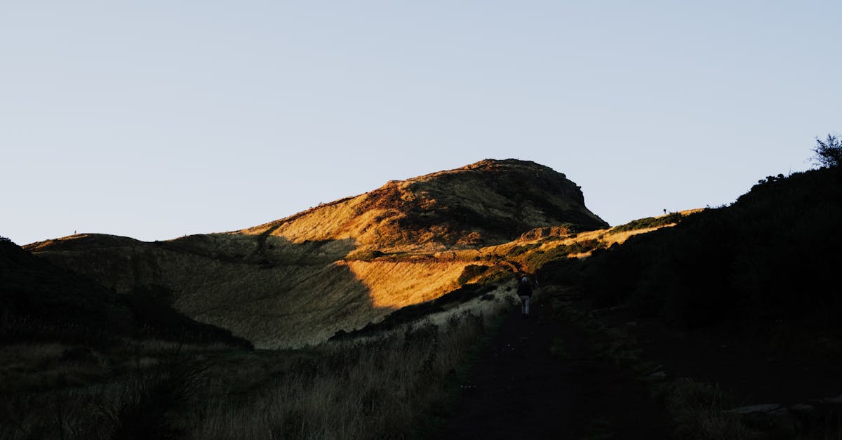découvrez tout sur arthur mensch, ses projets, réalisations et son parcours unique. suivez son actualité et ses inspirations.