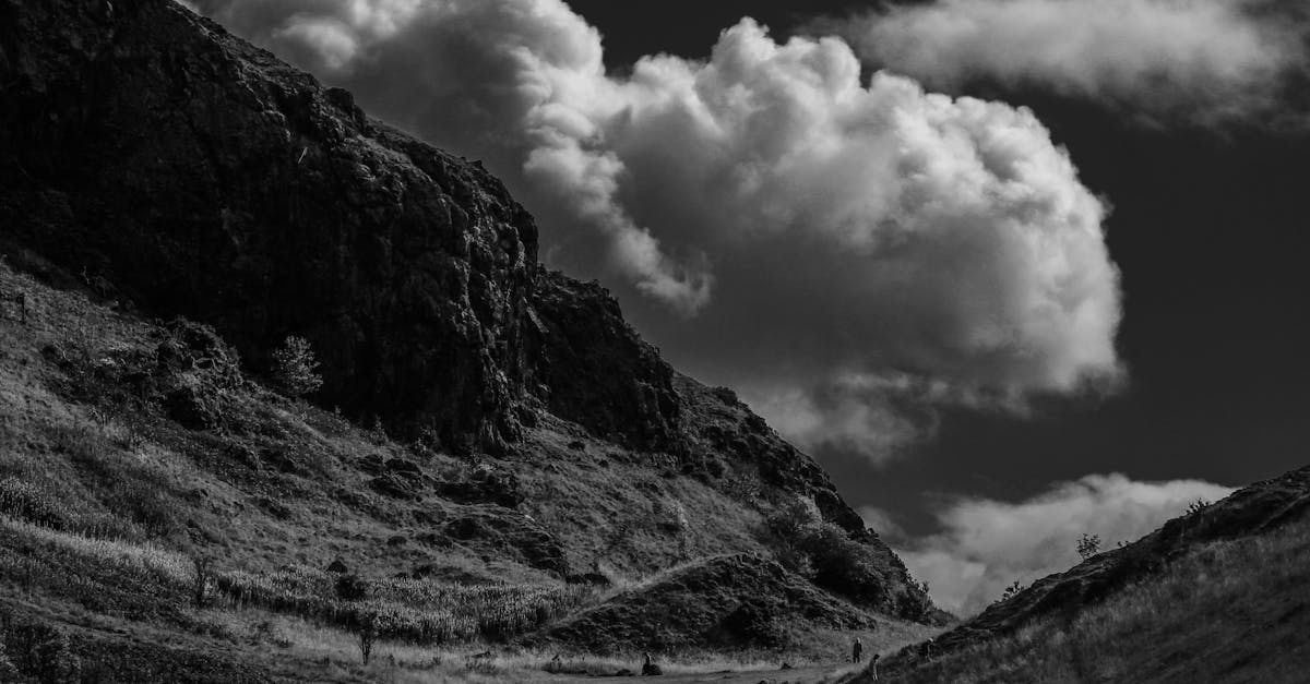 découvrez arthur mensch, un expert passionné et innovant dans son domaine, offrant des solutions sur mesure et une expertise reconnue.