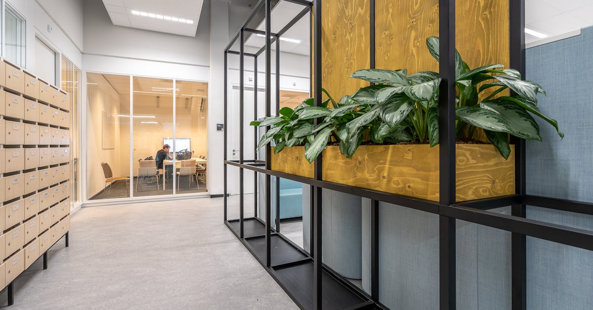 découvrez les dernières tendances du moment pour rester à la pointe de la nouveauté et de l'innovation.