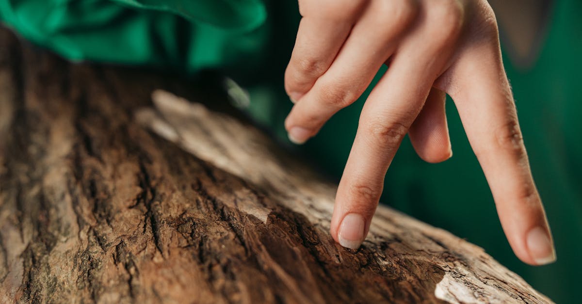 découvrez les coulisses de la sensation onlyfans, explorez le succès et les secrets des créateurs les plus populaires sur la plateforme.