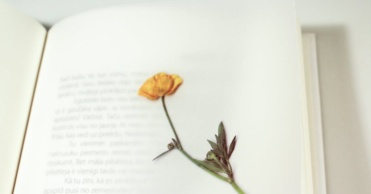 press-citron, votre source d'actualités tech, high-tech et innovation. découvrez les dernières tendances, tests et conseils pour rester à la pointe de la technologie.