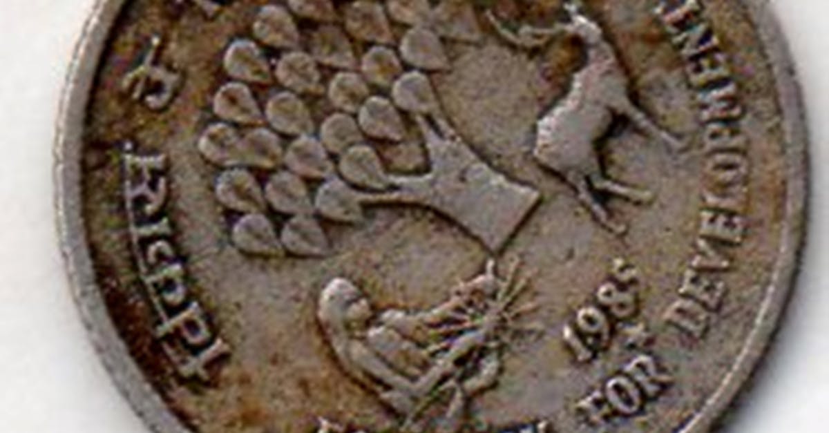 découvrez tout sur la pièce de 2 euros rare : son histoire, sa valeur et comment la reconnaître parmi les éditions limitées.