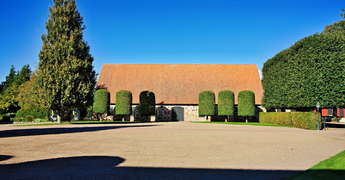 découvrez squarespace, la plateforme tout-en-un pour créer un site web professionnel facilement, avec des designs élégants et des outils puissants.