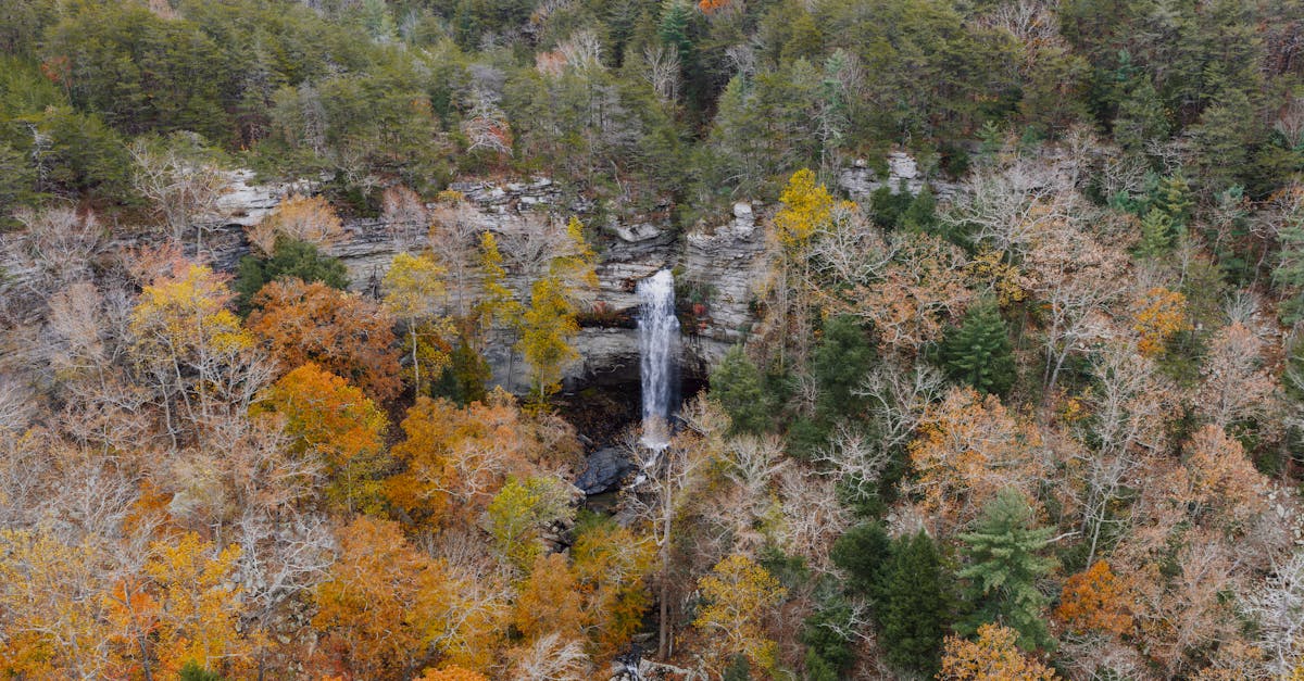 découvrez la saison finale de stranger things, pleine de suspense, de mystère et d'aventures inoubliables avec vos personnages préférés.