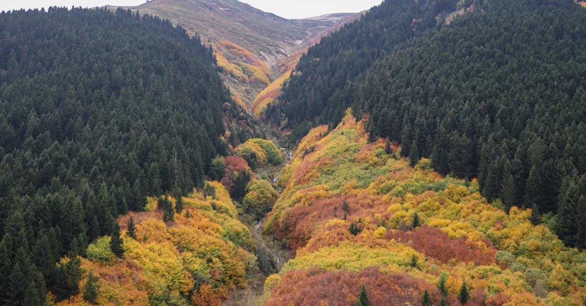 découvrez la dernière saison de stranger things, pleine de suspense, de mystères et de rebondissements captivants. ne manquez pas la conclusion épique de cette série culte.
