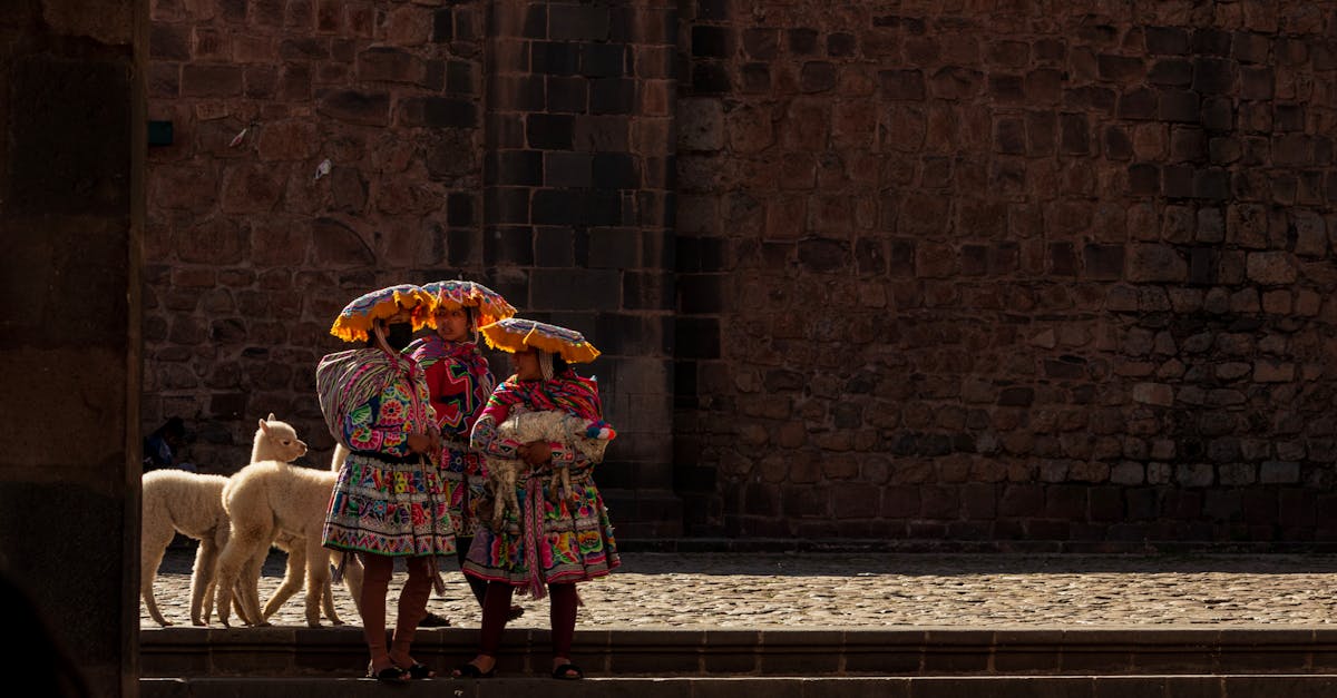 découvrez les sites pour adultes non régulés offrant une expérience diversifiée. explorez leur contenu en toute connaissance des risques liés à l'absence de régulation.