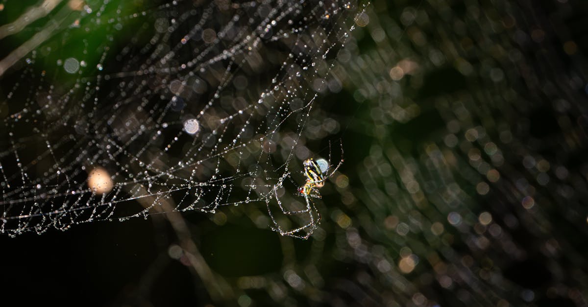 comparez les tarifs d'hébergement web pour trouver l'offre adaptée à vos besoins, avec des options flexibles et des performances optimales.