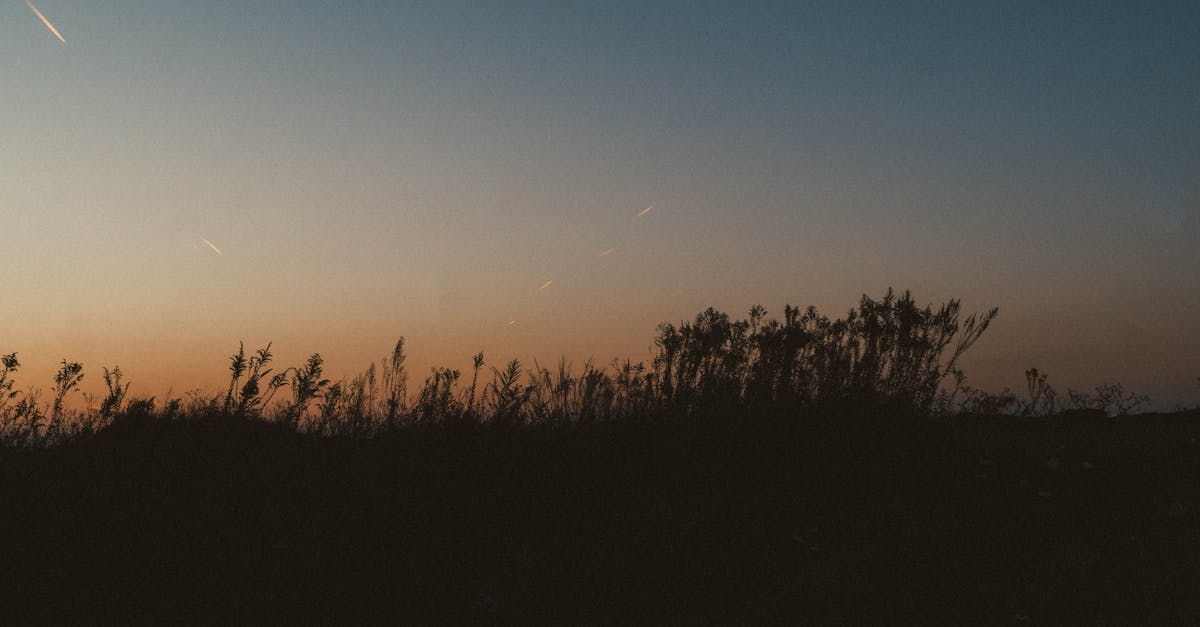 découvrez les meilleures alternatives à la combinaison ctrl+alt+del pour gérer efficacement vos tâches, redémarrer ou accéder aux options système sur windows.