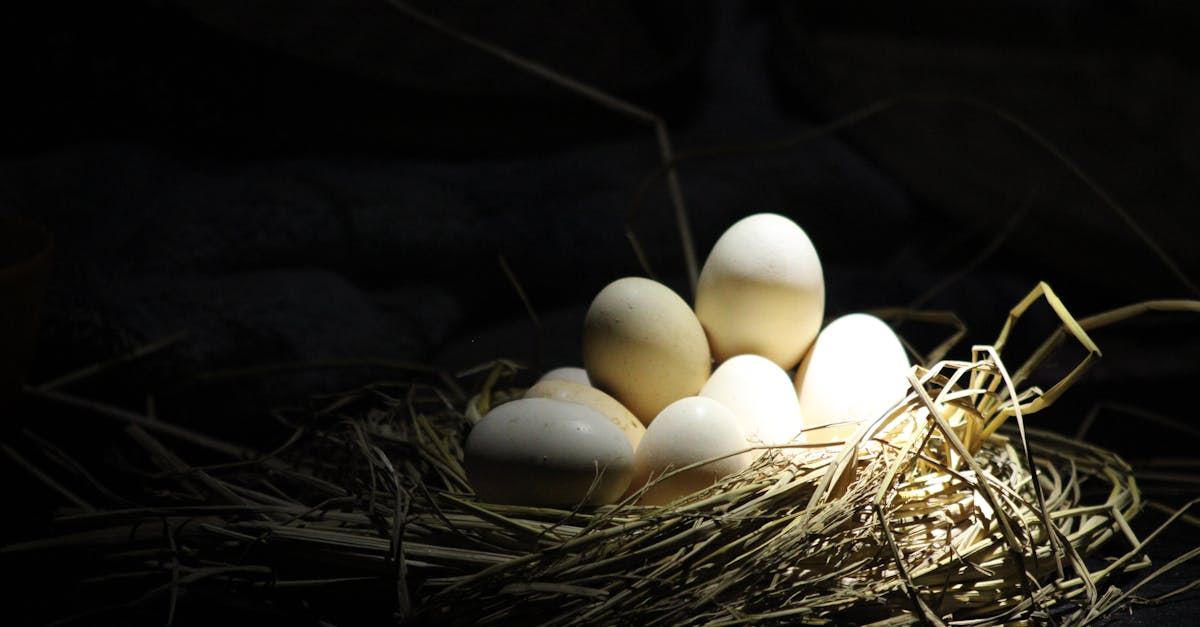 découvrez les mystères de la vie extraterrestre, explorez les théories scientifiques et les découvertes possibles sur l'existence d'organismes en dehors de la terre.