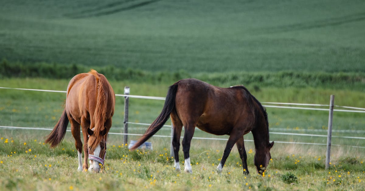 découvrez les meilleurs vpn gratuits pour 2025 afin de protéger votre vie privée en ligne, contourner les restrictions géographiques et naviguer en toute sécurité.