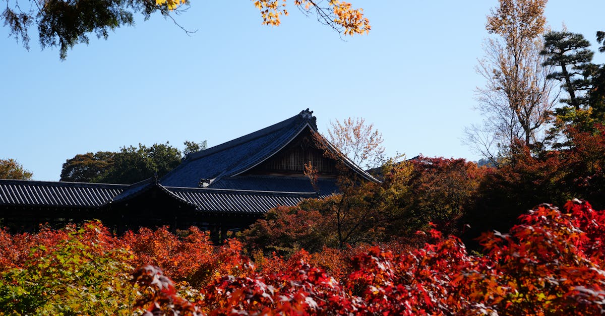 découvrez les meilleurs vpn gratuits de 2025 pour naviguer en toute sécurité et anonymat. accédez à internet librement avec nos sélections fiables et rapides.