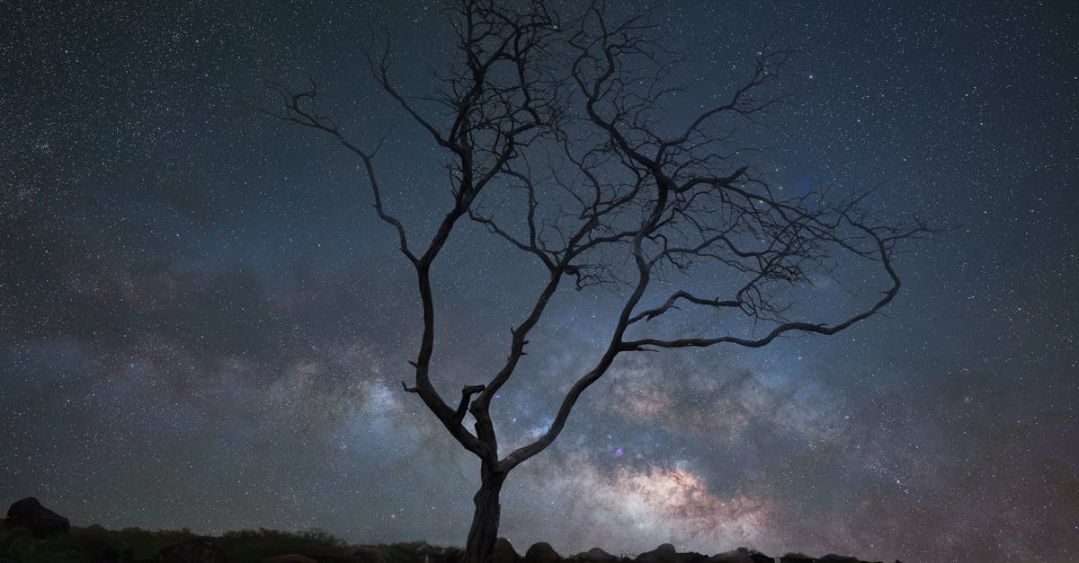 découvrez le galaxy s24, le smartphone innovant alliant puissance, design élégant et technologie de pointe pour une expérience utilisateur exceptionnelle.