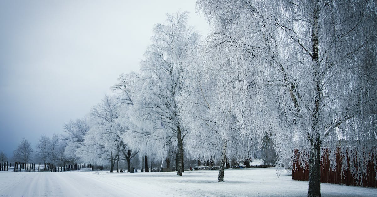 découvrez la collection 2025 de matelas ikea : confort, qualité et innovation pour un sommeil réparateur à petit prix.