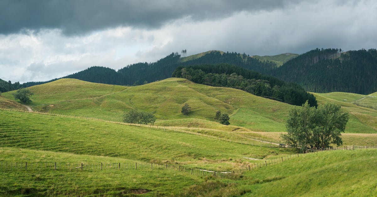 découvrez les dernières tendances et actualités pour rester informé des nouveautés et évolutions dans tous les domaines.