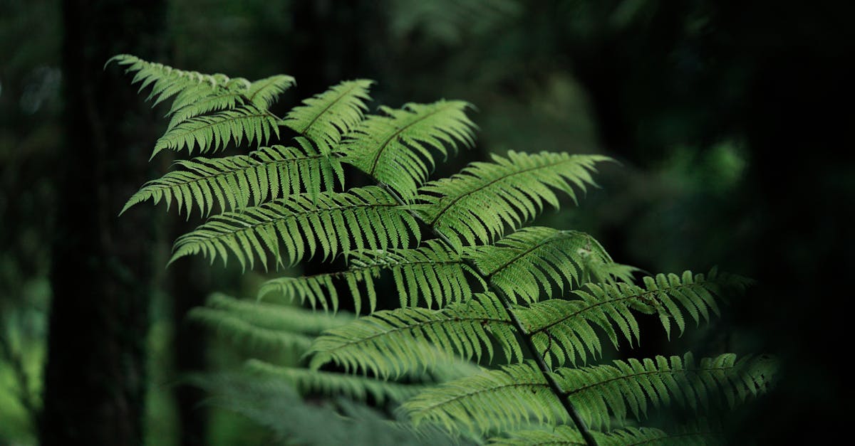 découvrez les dernières tendances et actualités pour rester informé des nouveautés et des évolutions dans divers domaines.