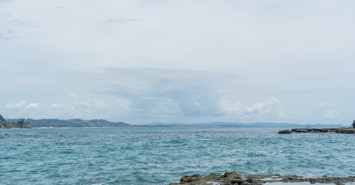 découvrez les dernières tendances et actualités pour rester informé des nouveautés et évolutions du moment.