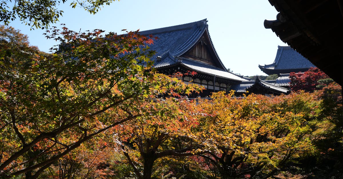 découvrez les tarifs netflix pour 2025 et choisissez l'abonnement qui correspond le mieux à vos besoins de divertissement.