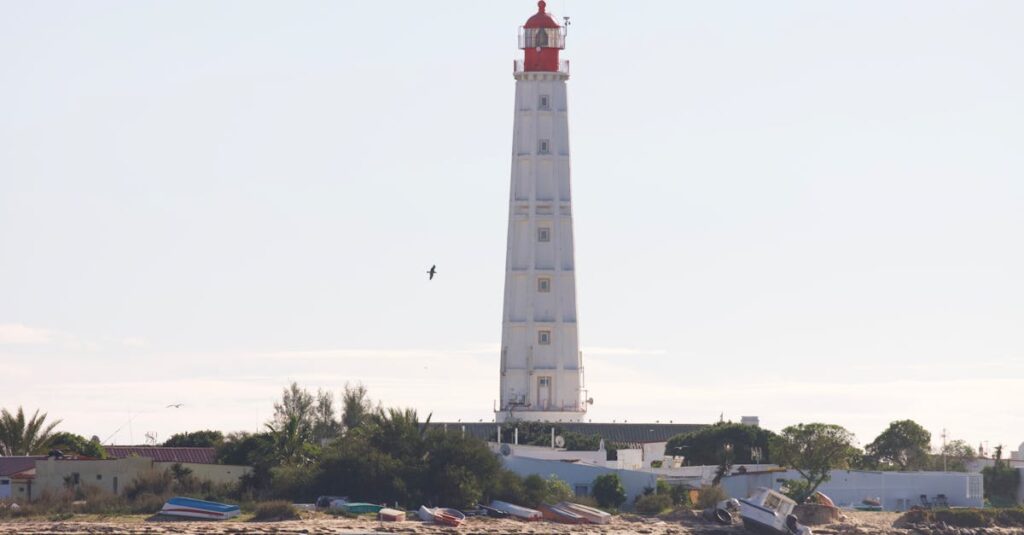 découvrez les tarifs netflix en 2025 et choisissez l'abonnement qui correspond à vos besoins pour profiter de vos séries et films préférés.