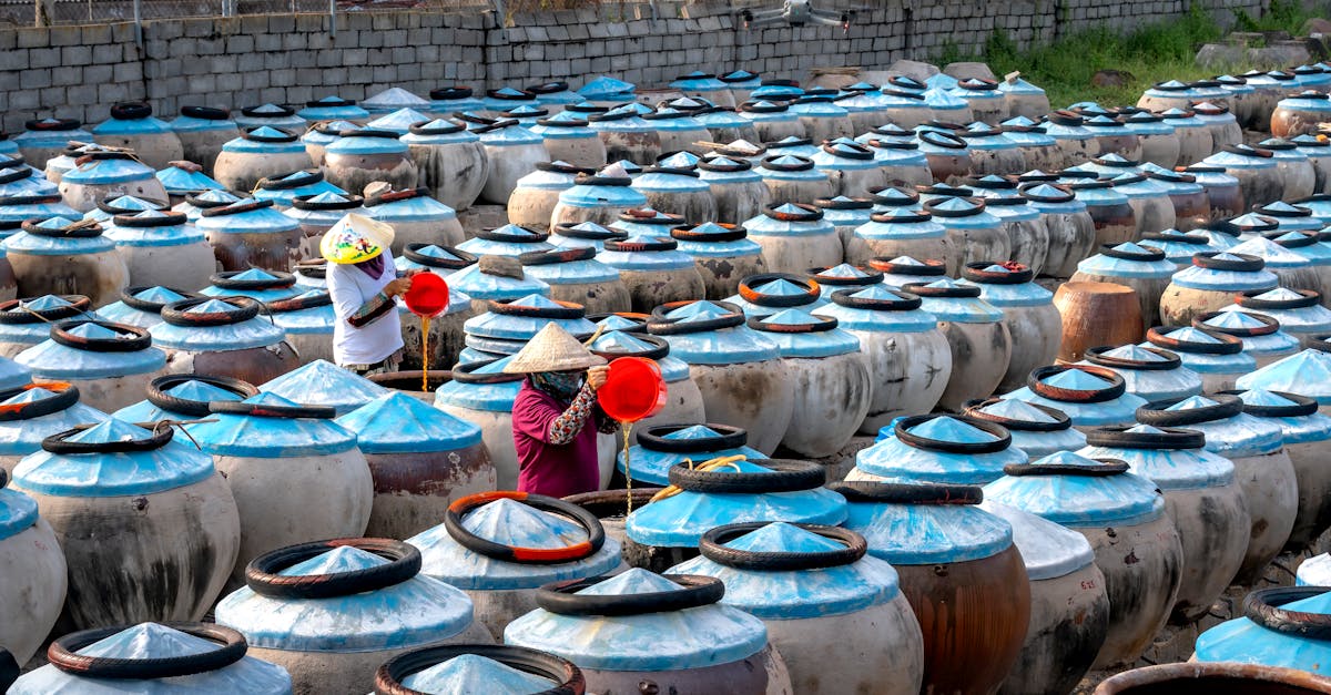 découvrez nvm, le gestionnaire de versions de node.js qui facilite l'installation, la gestion et le basculement entre différentes versions de node sur votre système.